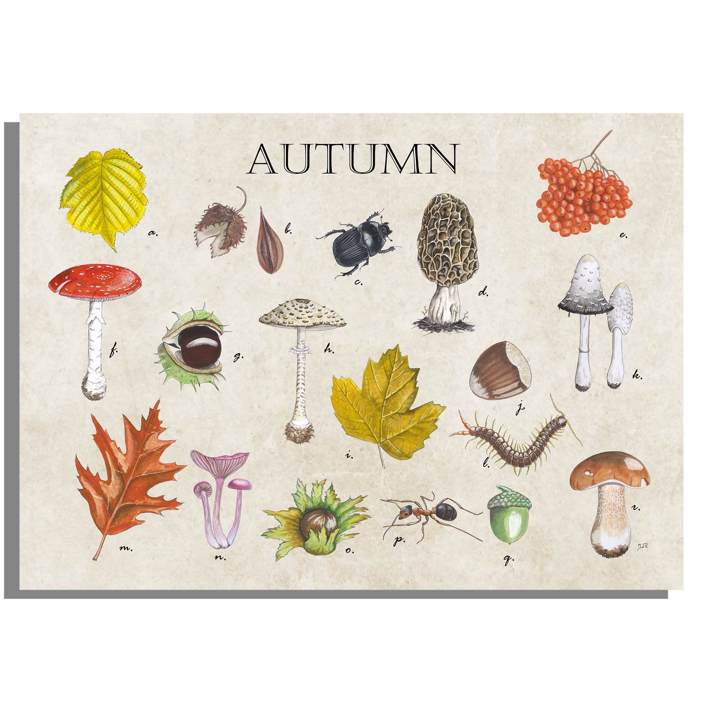 Muismat "Autumn"