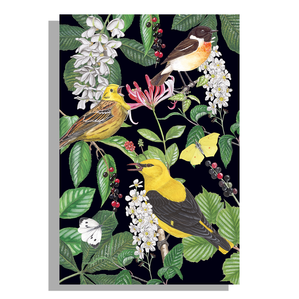 Containersticker "Kamperfoelie met vogels"