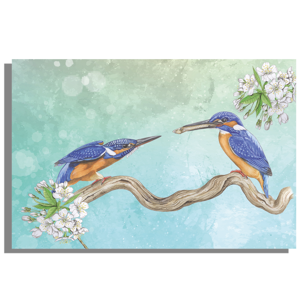 Inductieplaatbeschermer "IJsvogels, paringsritueel"
