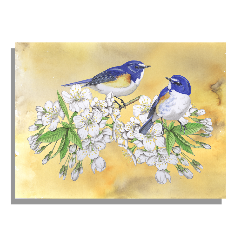 Inductieplaatbeschermer "Japanse bluebird op zoete kers"