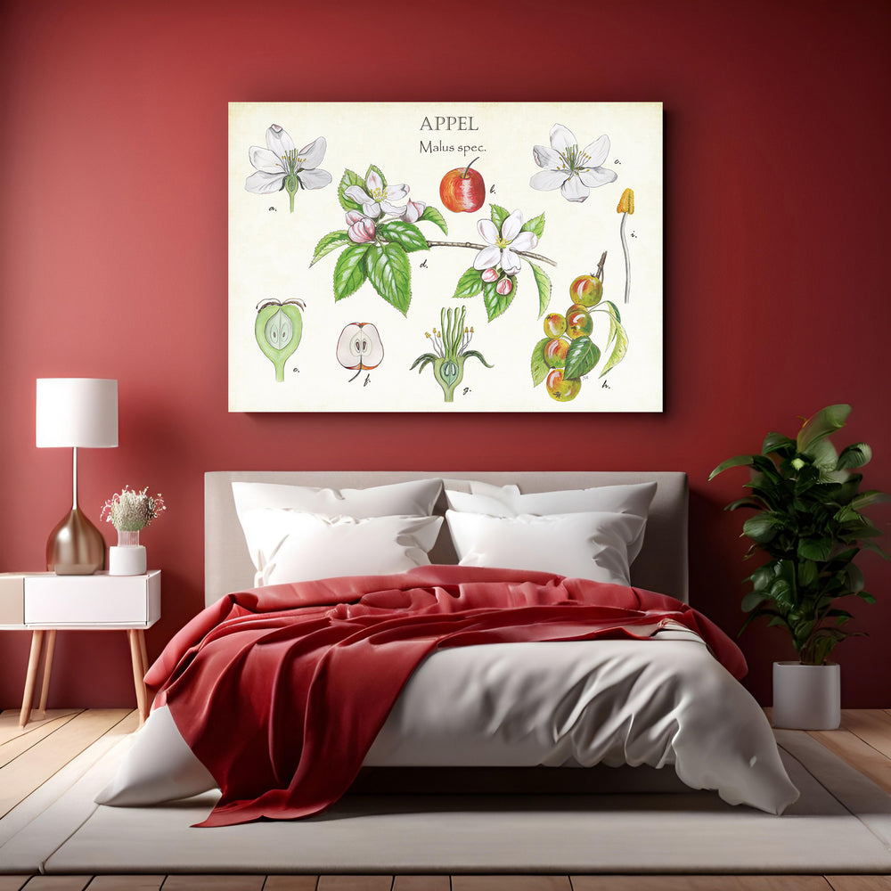 Wanddecoratie "Appel, botanische studie"