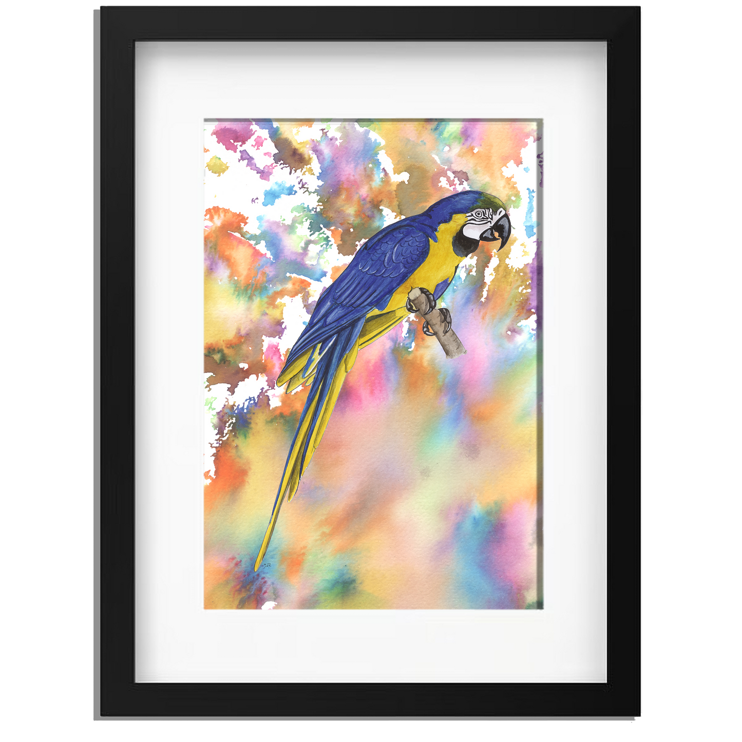 Ingelijst "Blauwe ara"