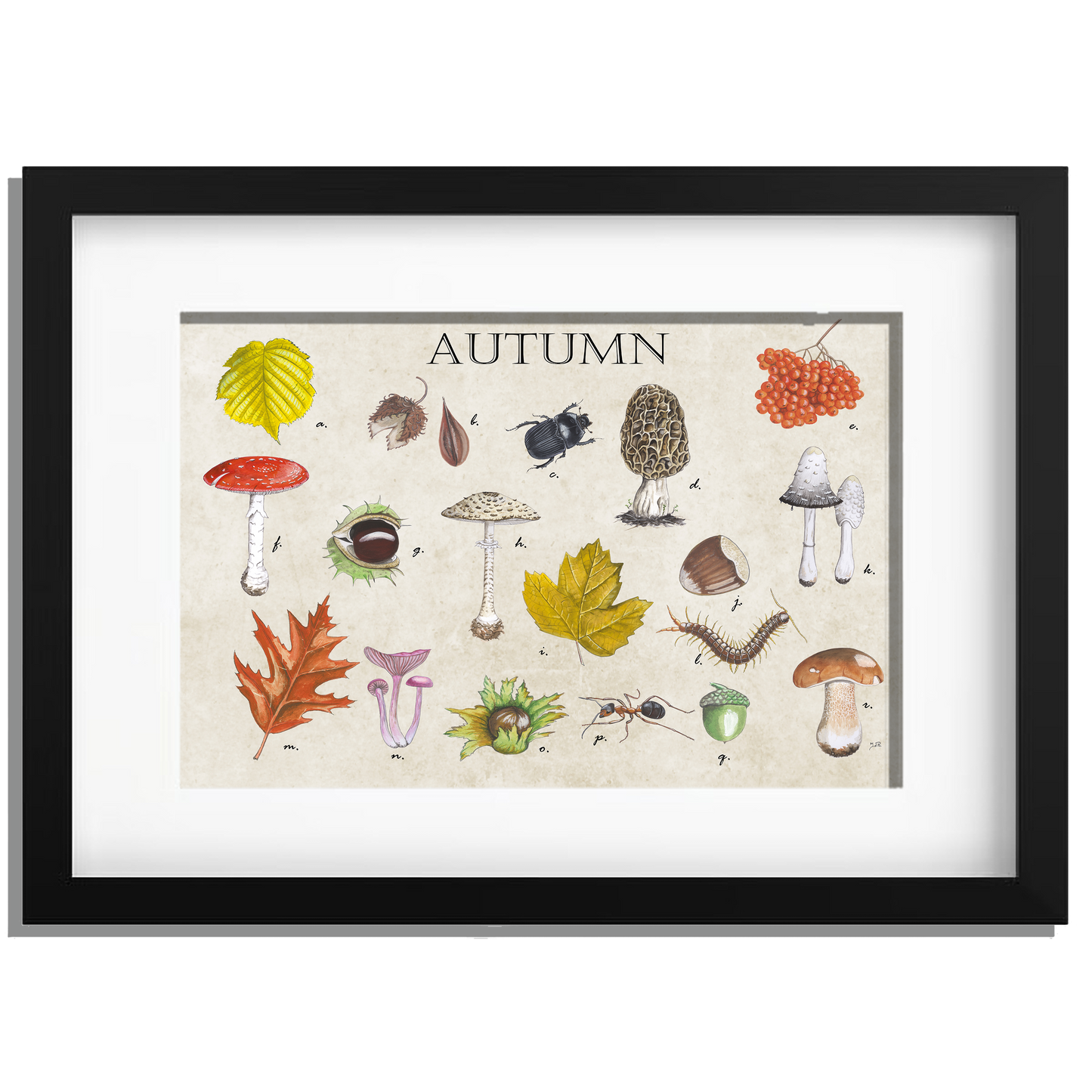 Ingelijst "Autumn"