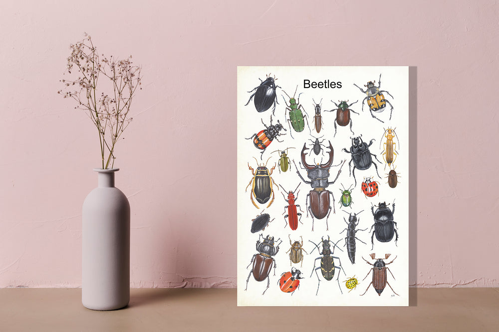 Wanddecoratie "Beetles"