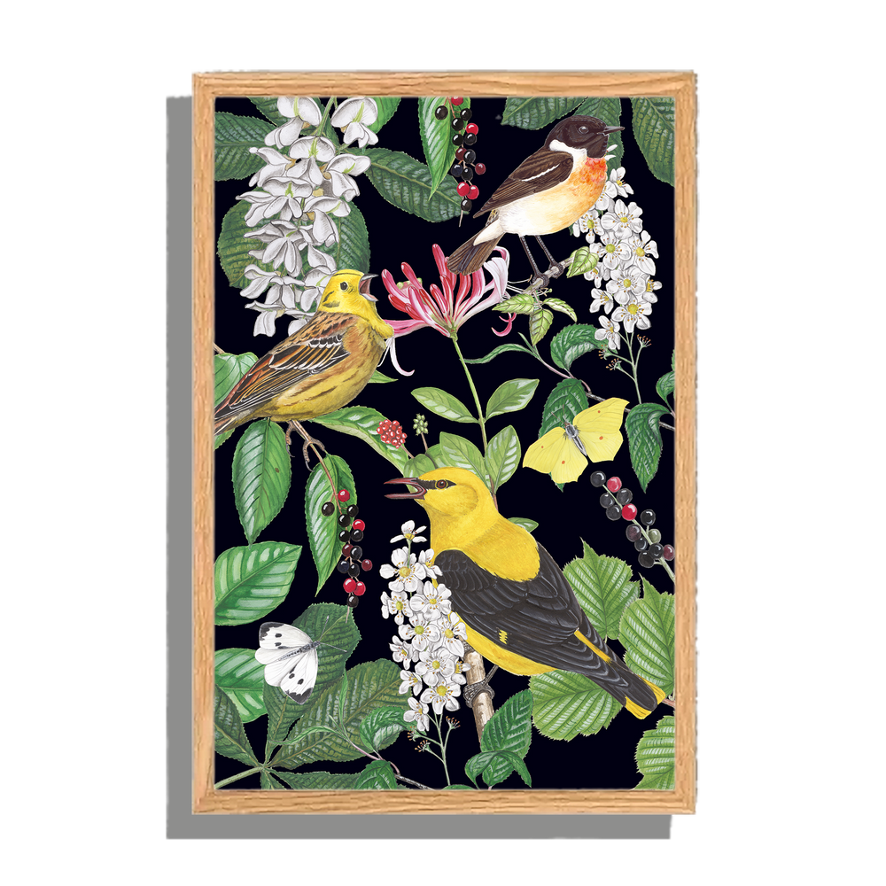 Ingelijst "Kamperfoelie met vogels"