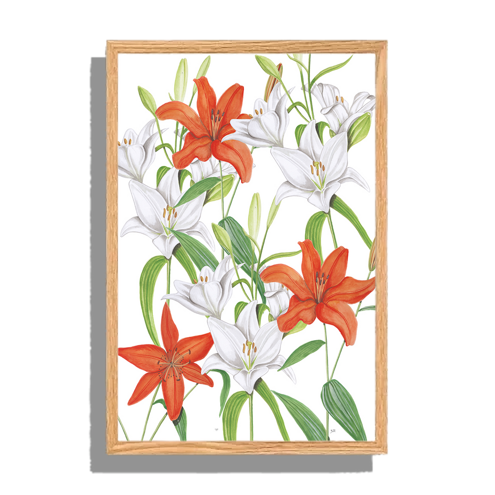 Ingelijst "Witte en oranje lelies"