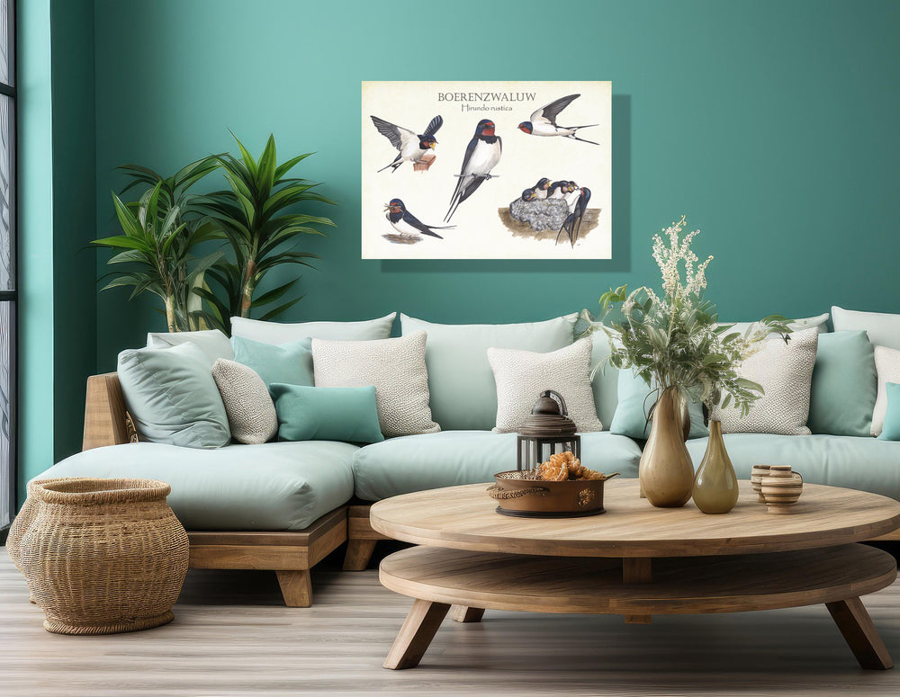 Wanddecoratie "Boerenzwaluw, het leven van"