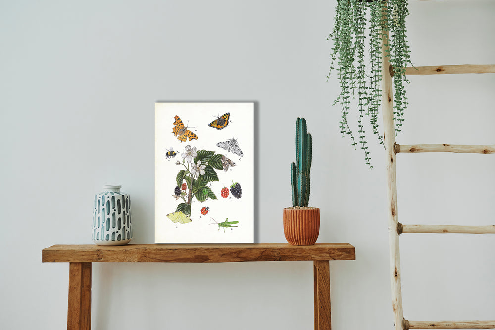 Wanddecoratie "Braam met haar insecten"