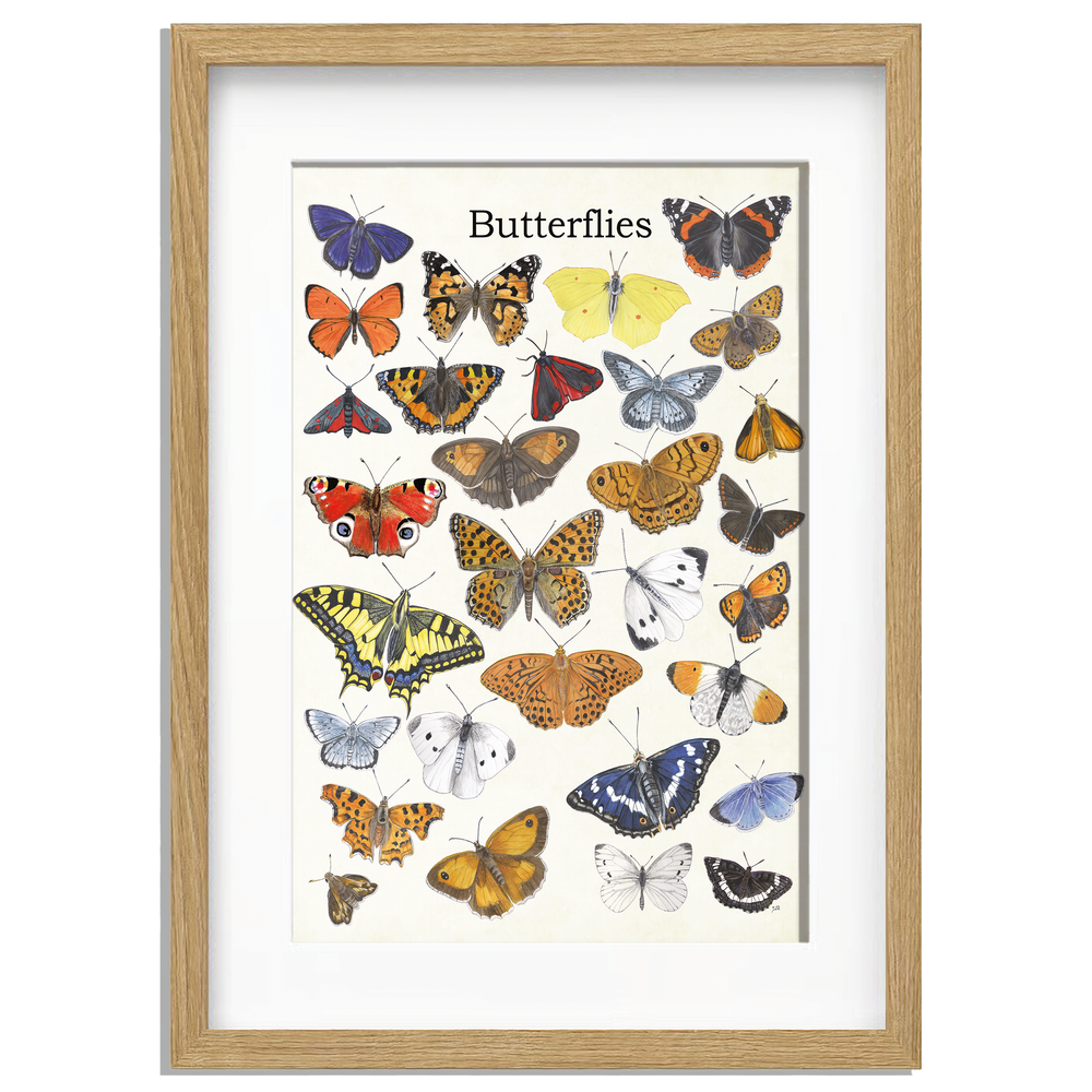 Ingelijst "Butterflies"