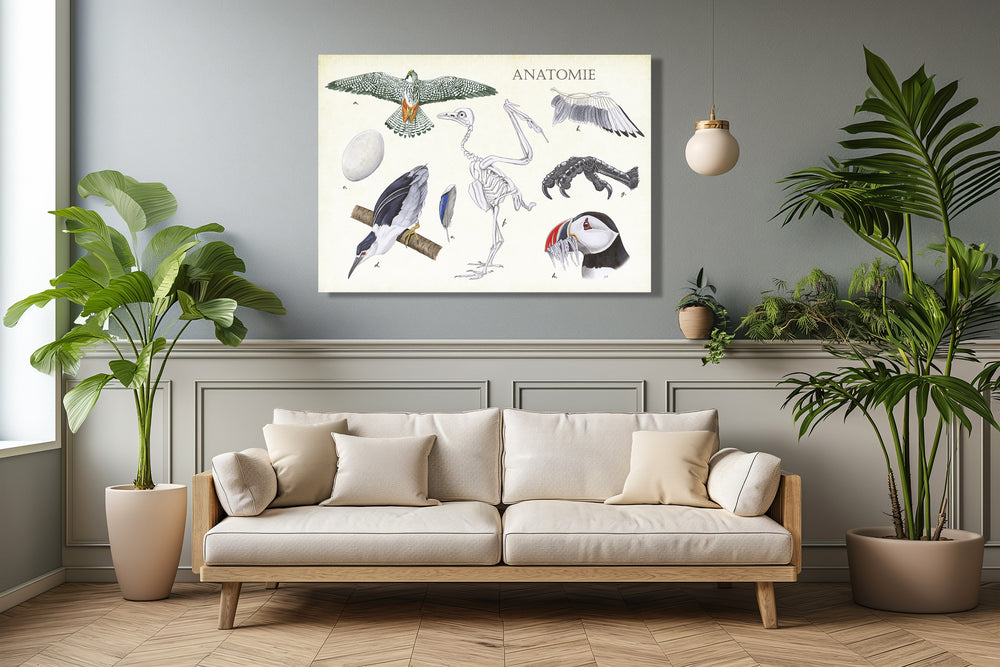Wanddecoratie "Anatomie Birds"