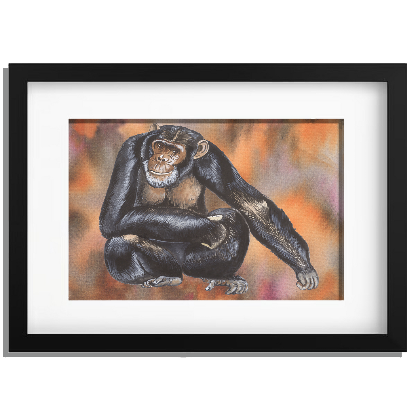 Ingelijst "Chimpansee"
