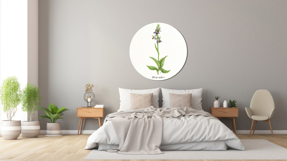 Muurcirkel "Bijenorchis"