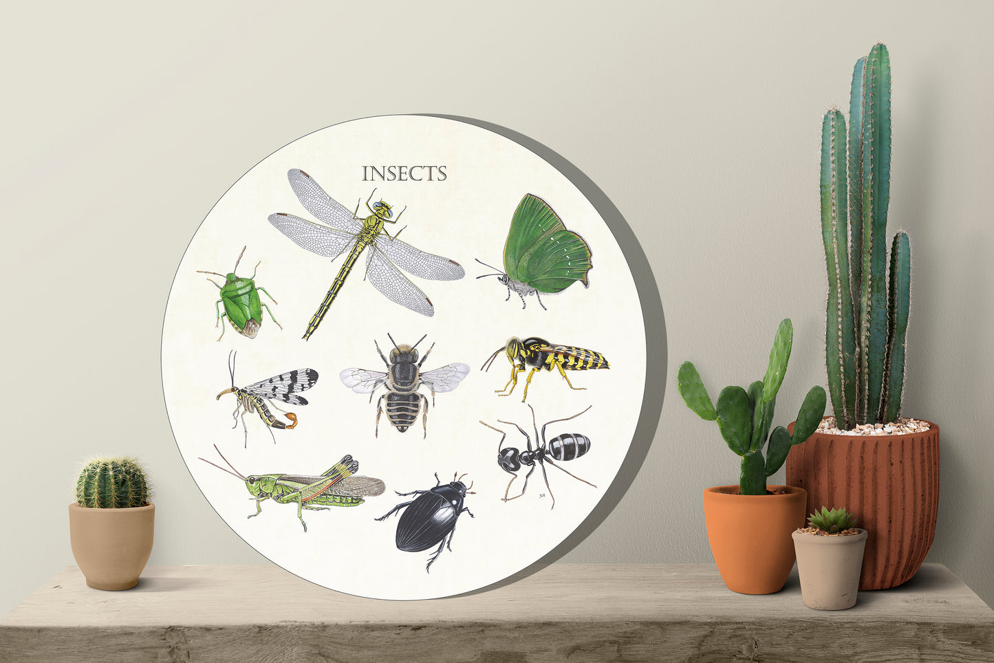 Muurcirkel "Insects"