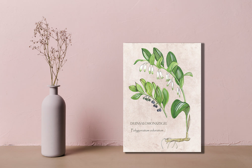 Wanddecoratie "Duinsalomonszegel"
