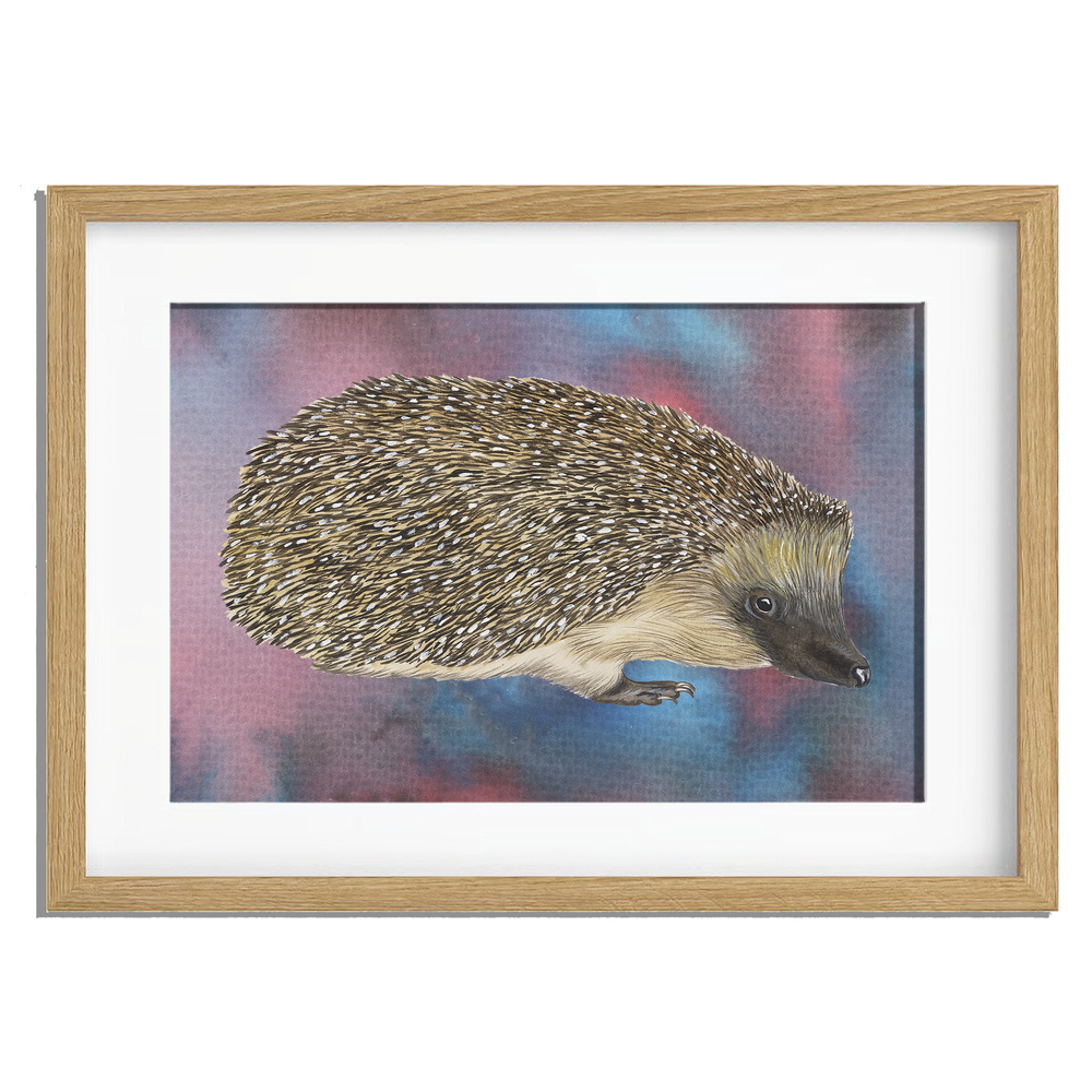 Ingelijst "Egel"