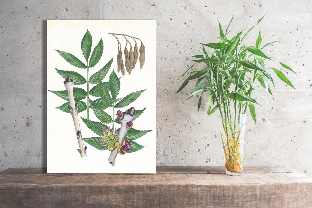 Wanddecoratie "Gewone es, het leven van"