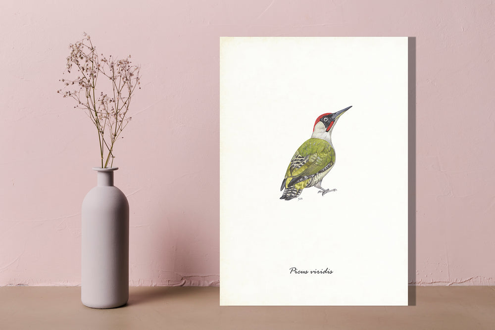 Wanddecoratie "Groene specht"