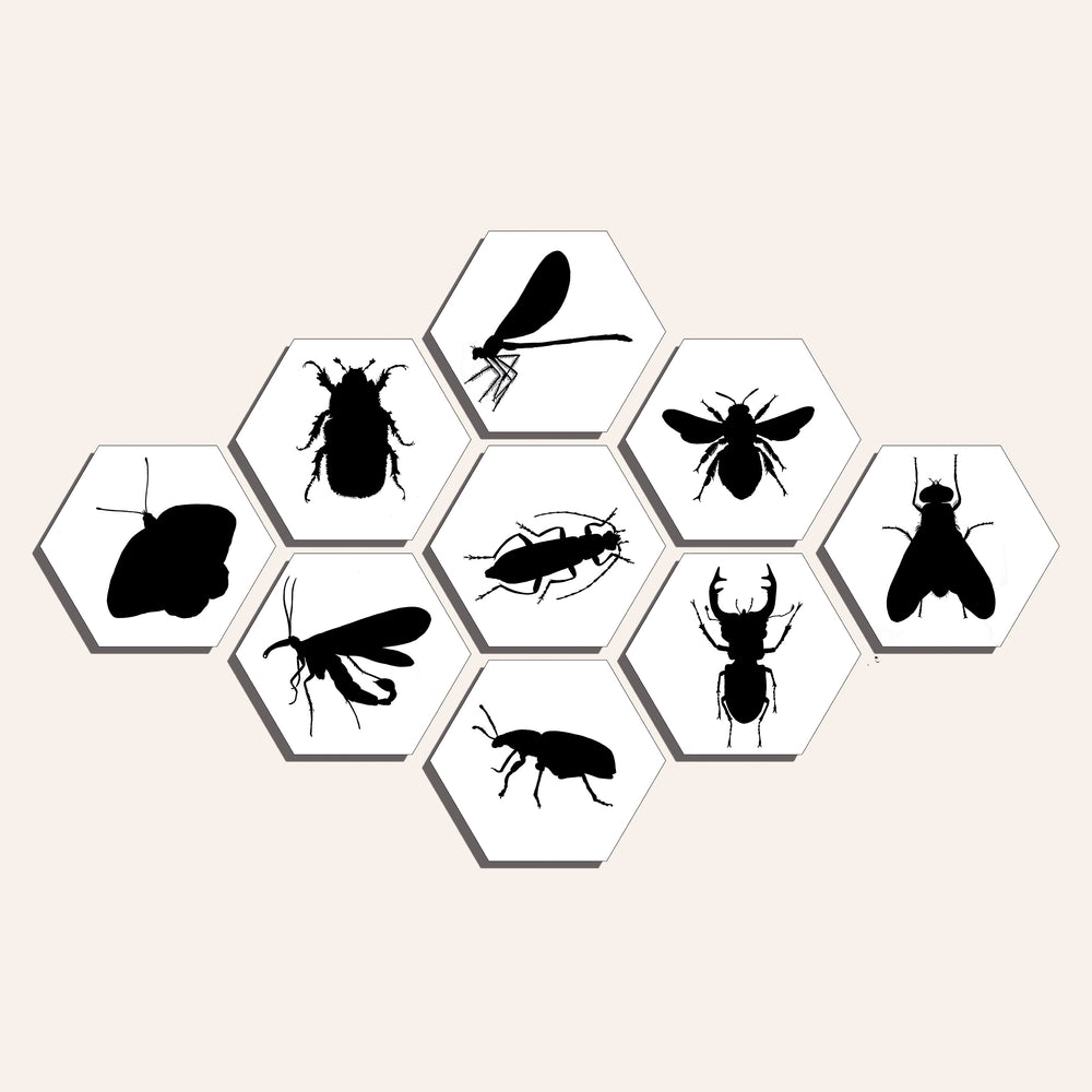 Collage "Insecten - silhouetten"