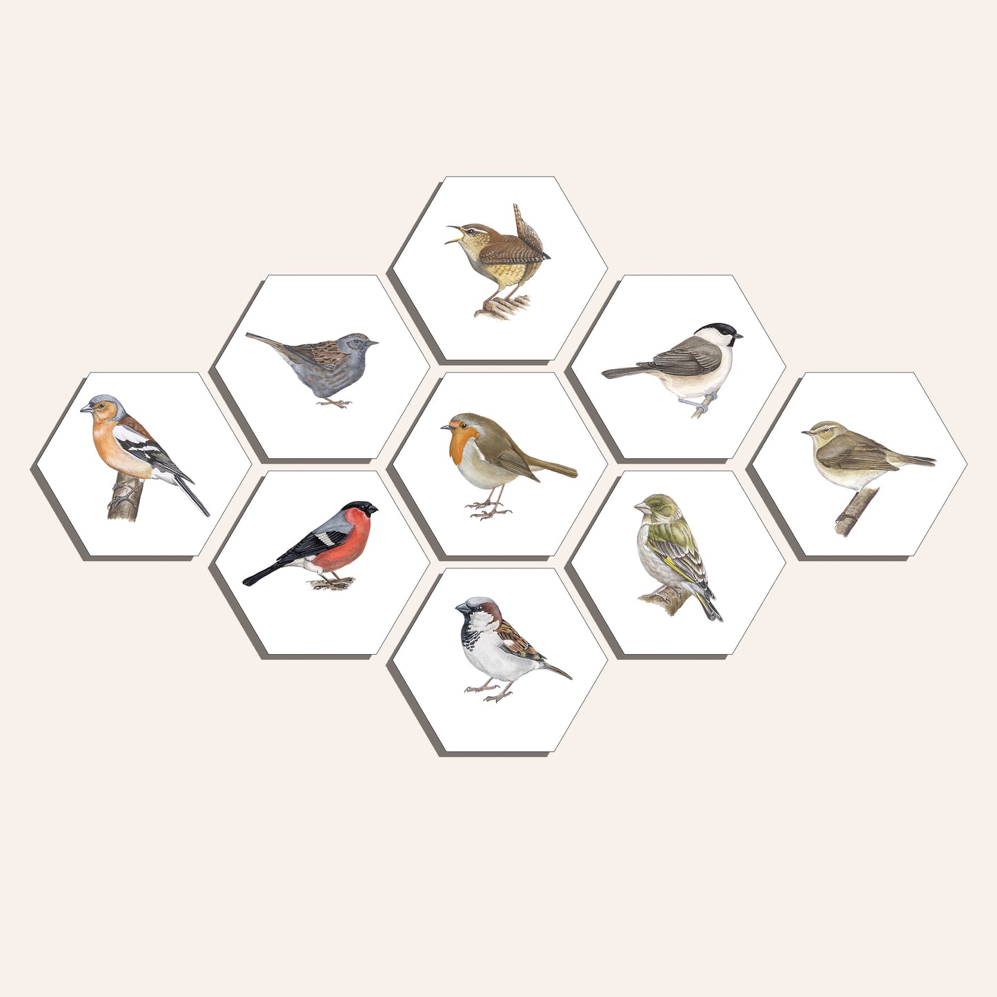 Collage "Zangvogels (9)"