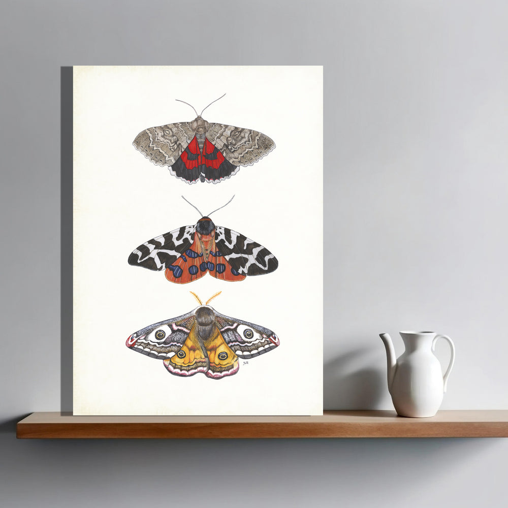 Wanddecoratie "Kleurrijke nachtvlinders"
