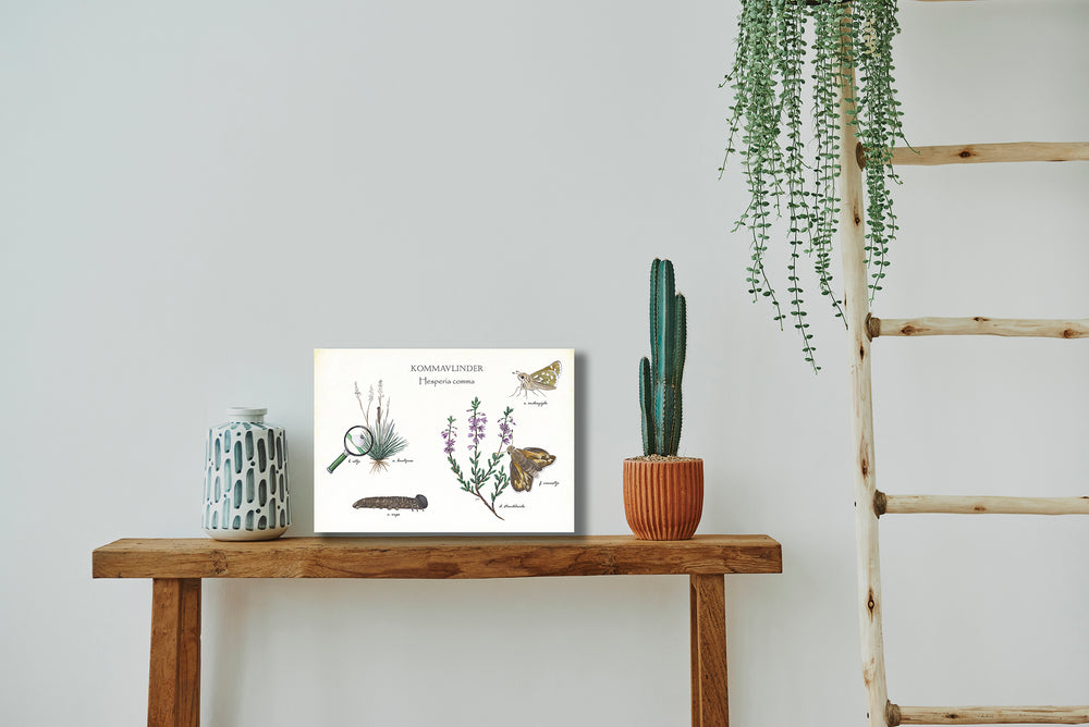 Wanddecoratie "Kommavlinder, het leven van"