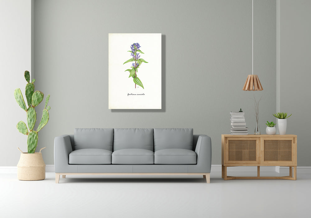 Wanddecoratie "Kruisbladgentiaan"