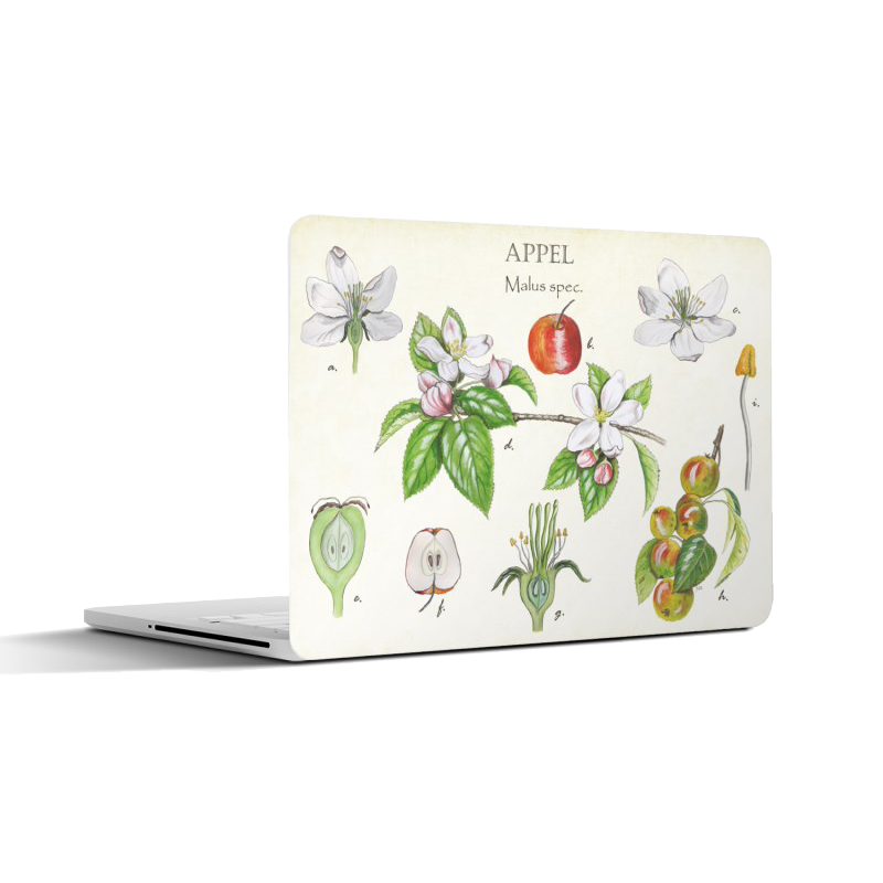 Laptopsticker "Appel, het leven van"