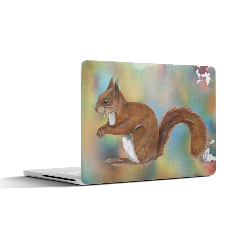 Laptopsticker "Eekhoorn"
