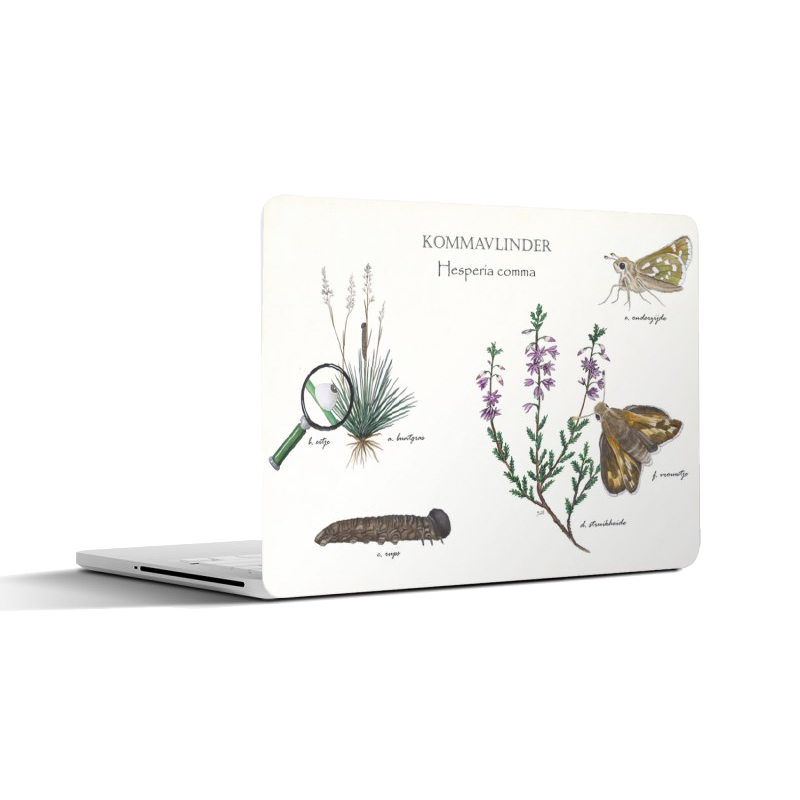 Laptopsticker "Kommavlinder, het leven van"