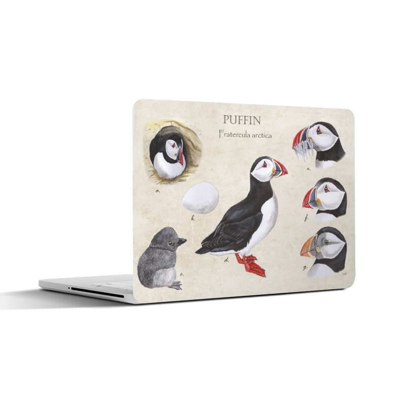 Laptopsticker "Puffin"