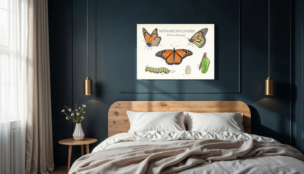Wanddecoratie "Monarchvlinder, het leven van"