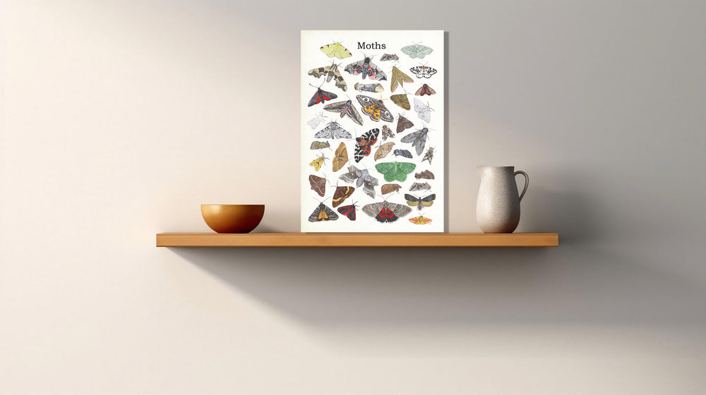 Wanddecoratie "Moths"