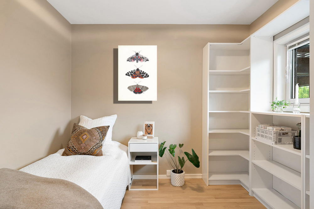Wanddecoratie "Nachtvlinders met grote beer"