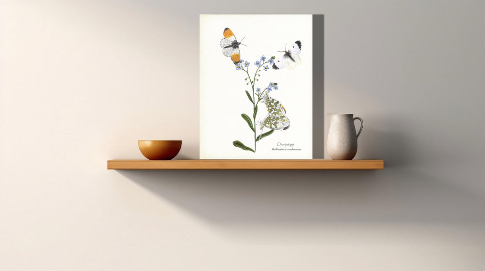 Wanddecoratie "Oranjetipje"