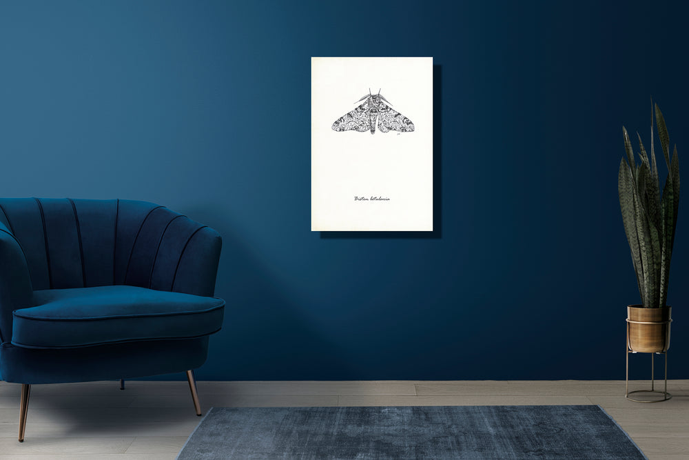 Wanddecoratie "Peper en zoutvlinder"