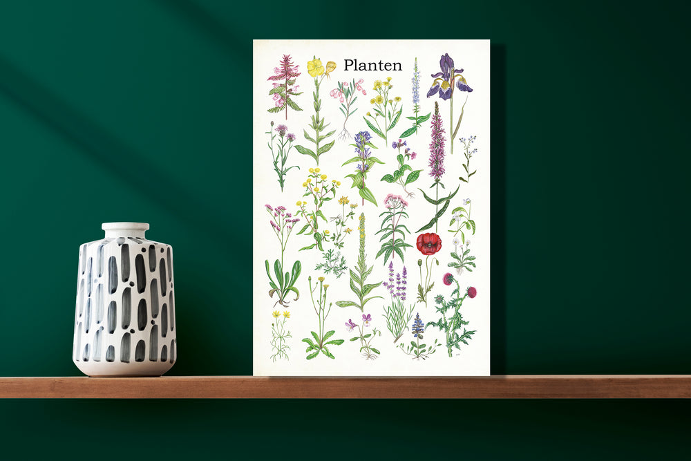Wanddecoratie "Planten 2"