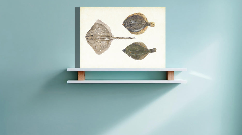 Wanddecoratie "Platvissen"