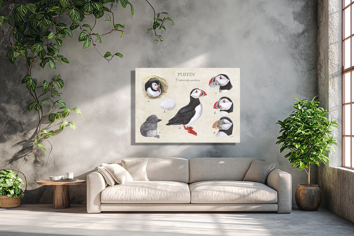 Wanddecoratie "Puffin"