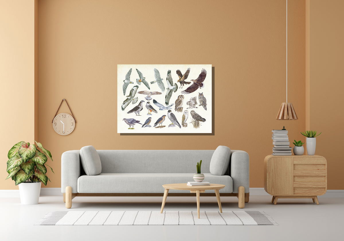 Wanddecoratie "Roofvogels en uilen"
