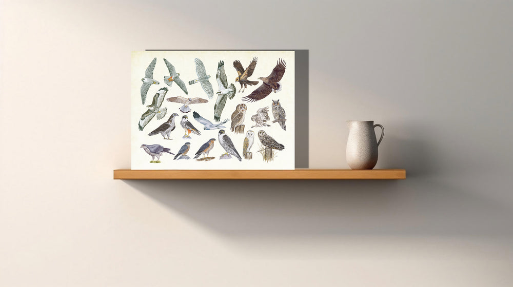 Wanddecoratie "Roofvogels en uilen"