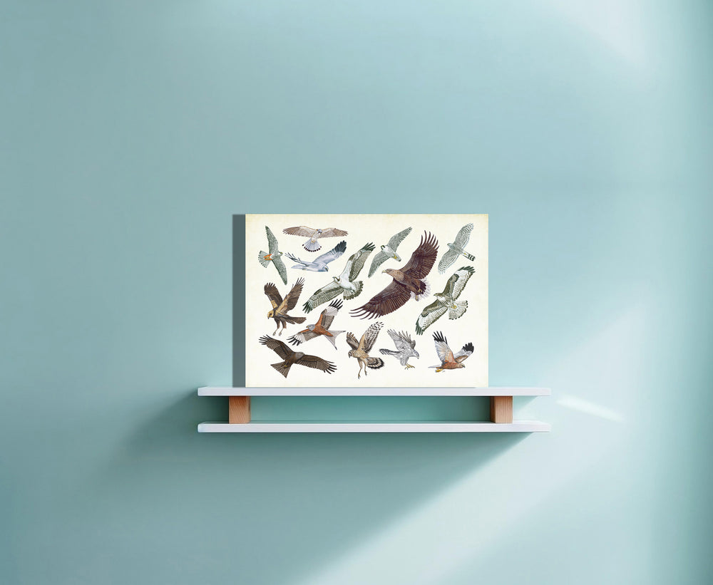 Wanddecoratie "Roofvogels in vlucht"