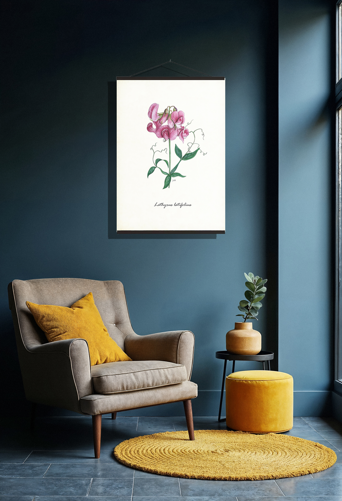 Schoolplaat "Brede lathyrus"