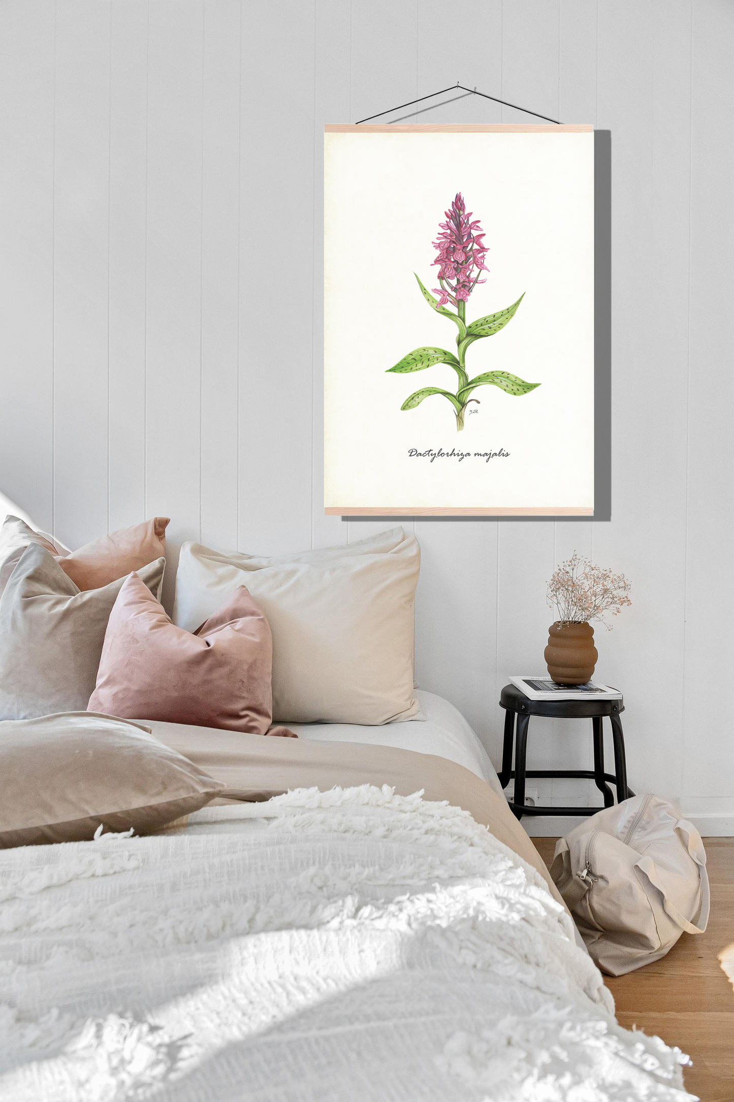 Schoolplaat "Brede orchis"