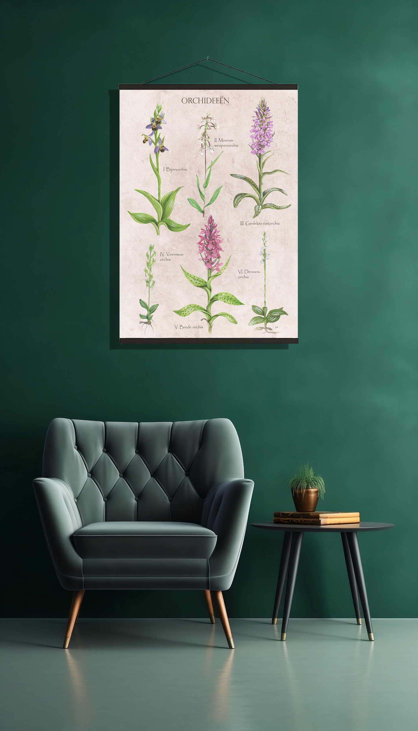 Schoolplaat "Orchideeën"