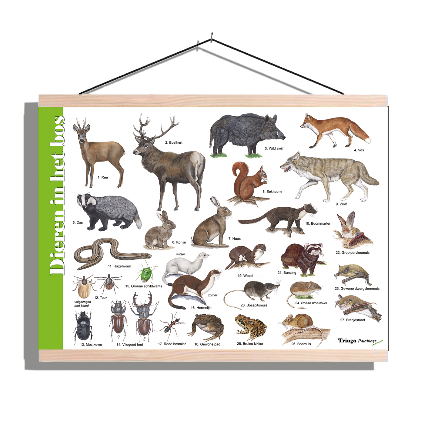 Herkenningsposter "Dieren in het bos"