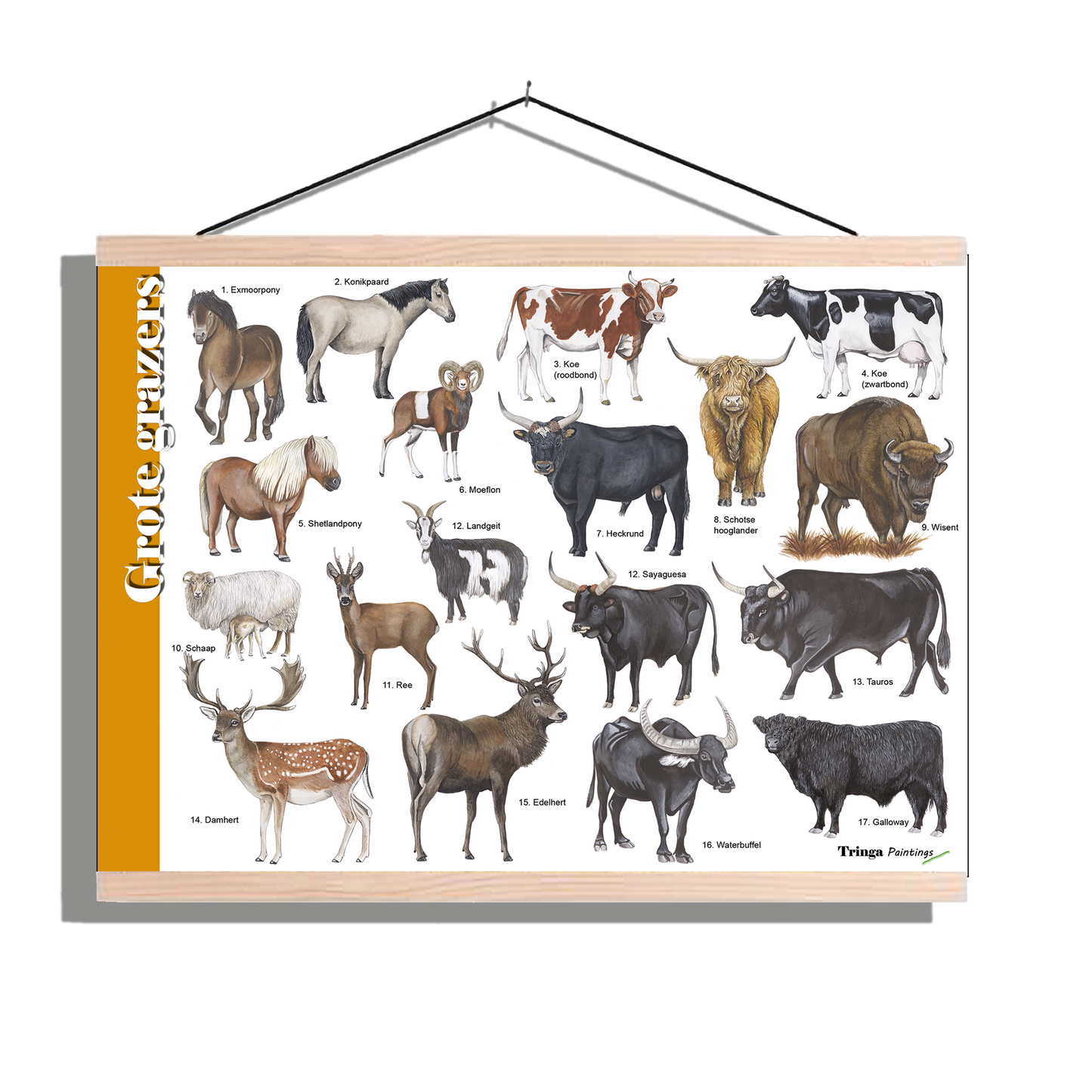 Herkenningsposter "Grote grazers"