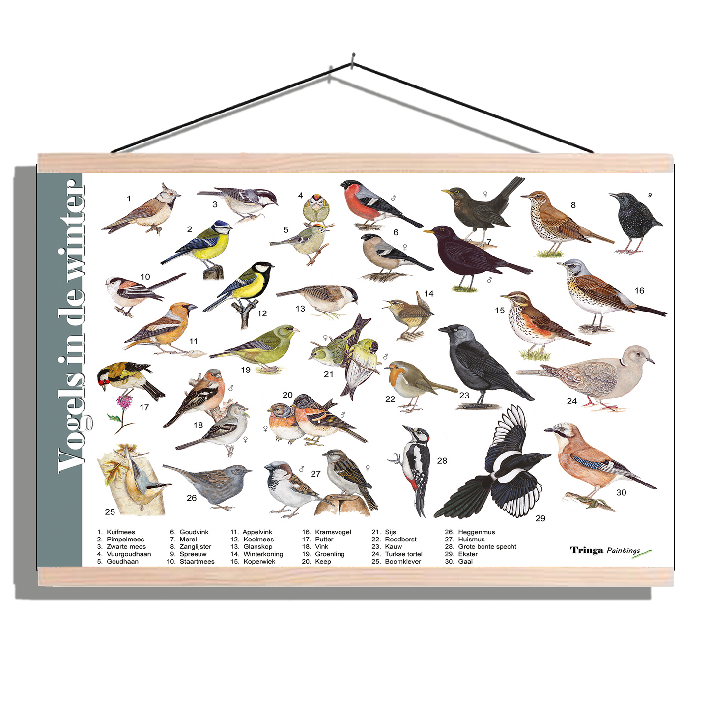 Herkenningsposter "Vogels in de winter"