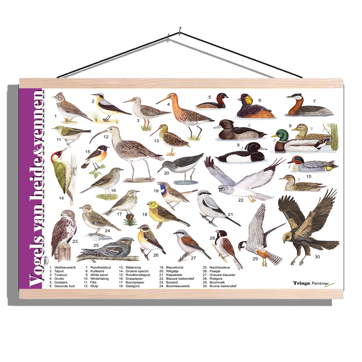 Herkenningsposter "Vogels van heide en vennen"