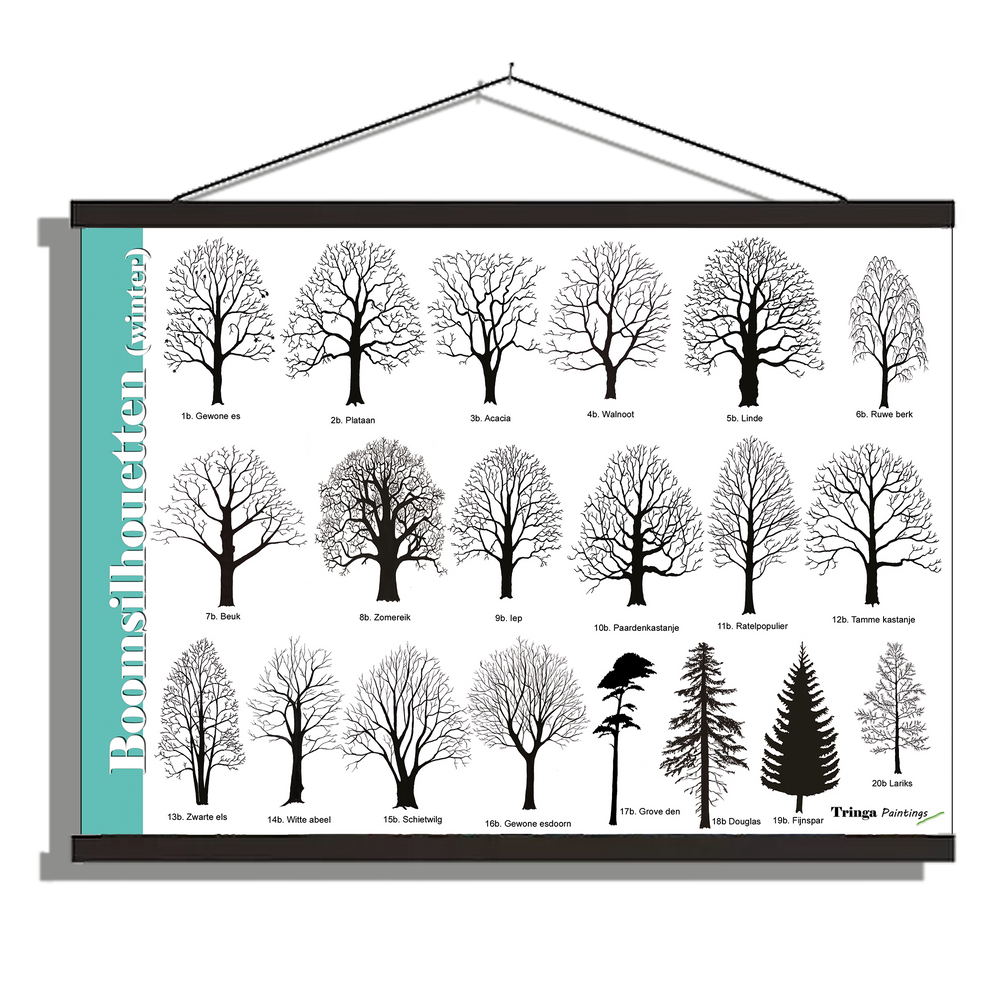 Herkenningsposter "Boomsilhouetten (winter)"