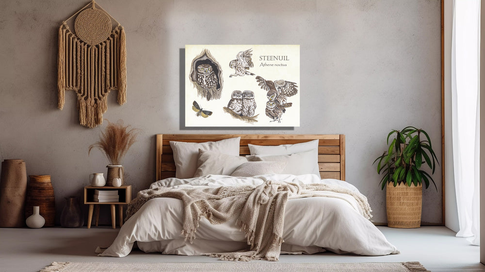 Wanddecoratie "Steenuilen, het leven van"